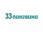 Франшиза 33 Пингвина