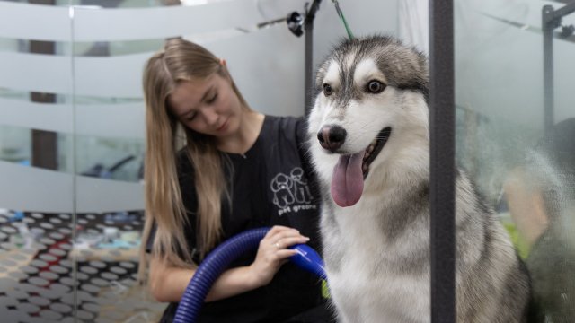 Франшиза GROOM