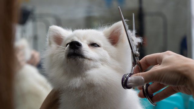 Франшиза GROOM