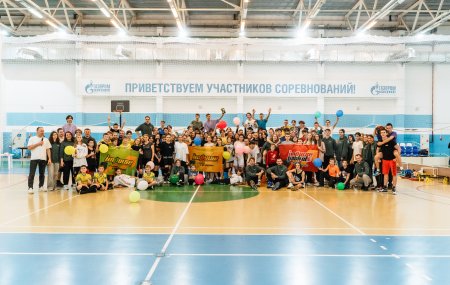 Франшиза ImpulseVolley