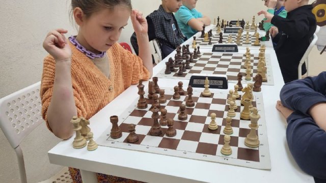 Франшиза шахматного клуба Chess First