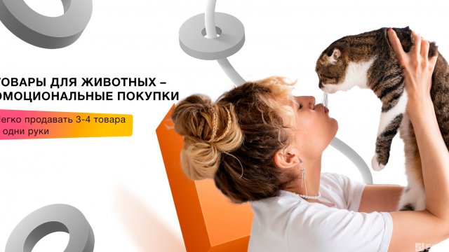 Франшиза DOGNECAT