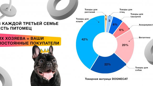 Франшиза DOGNECAT