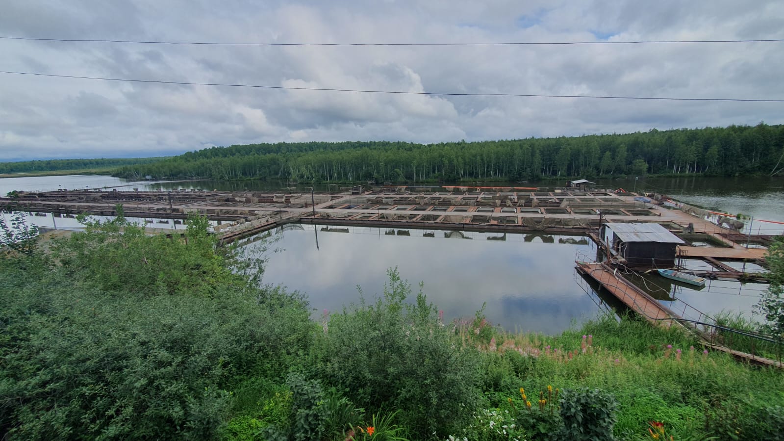 Рыбхоз (теплая вода, садки, узв, пруды, озеро) | Сельское хозяйство | ID:  184774 | купить бизнес, продажа бизнеса