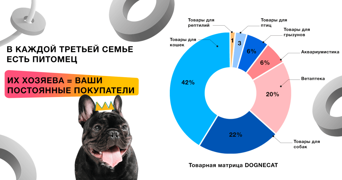 Франшиза DOGNECAT